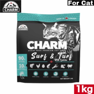 CHARM（チャーム）サーフ＆ターフキャット 1kg キャットフード 正規品 ペットフード ペット用品 お試し サイズ