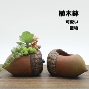 植木鉢 ミニ 2点セット プランター 多肉 苔 コケリウム 苔リウム 箱庭 鉢 可愛い サボテン 多肉植物 寄せ植え 置物 インテリア どんぐり 