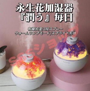 加湿器 超音波式 おしゃれ アロマ対応 USB LEDライト オフィス 静音 リビング 上から給水 花 簡単操作 フラワーアレンジメント