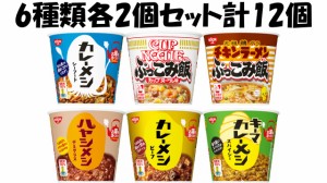 日清食品　カレーメシぶっこみ飯6種類各2個セット計12個　送料無料　沖縄、離島不可