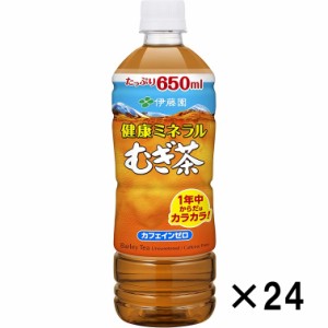 お取り寄せ　伊藤園　健康ミネラルむぎ茶 PET 650ml×２４本『送料無料(北海道/九州を除く、沖縄/離島不可)』