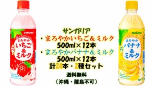 サンガリア　まろやかいちご＆ミルク500ml×12本　まろやかバナナ＆ミルク500ml×12本　計24本2種セット　送料無料（北海道・九州を除く