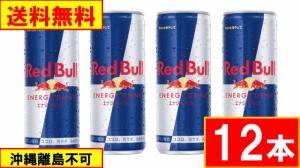 レッドブル 250ml 12本  送料無料（沖縄離島不可）