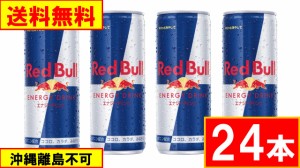 レッドブル 250ml ２４本  送料無料（沖縄離島不可）