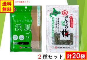 中野物産 おしゃぶり昆布 浜風・梅  ２種セット (計20袋) 送料無料（沖縄・離島不可)