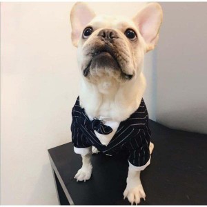 犬 服 犬の服 ペット服 紳士服 コスプレ 撮影 ドッグウェア コート 小中型犬