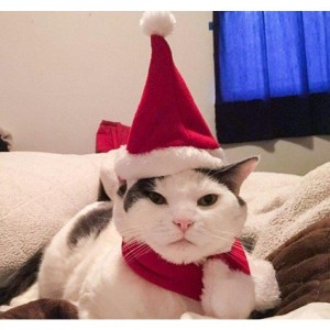 ペット 服 ハロウィン クリスマス ドッグウェア 犬服 猫服 帽子 スカーフ コスプレ 衣装 コスチューム ペットウェア 変身着