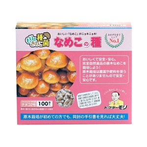 なめこ種駒 なめこの種【100個】| ナメコ種駒 ナメコ菌 なめこ菌 ナメコ栽培 なめこ栽培 原木栽培 種菌 きのこ