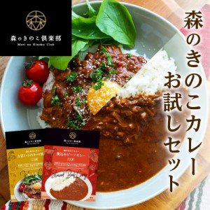 1000円ポッキリ お試しセット 送料無料 森のきのこカレー 1人前 2種類 きのこ専門店の特製カレー きのこカレー レトルト 国産きのこ 大豆