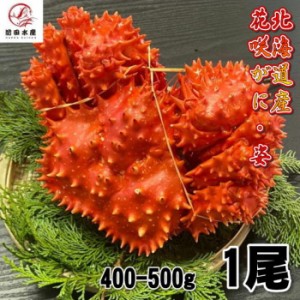 【訳あり】花咲がに　1尾（約400−500ｇサイズ）　ボイル　北海道産　花咲ガニ　花咲きがに　蟹　かに　母の日　父の日　お中元　お歳暮