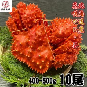 【訳あり】花咲がに　10尾（約400−500ｇサイズ）　ボイル　北海道産　花咲ガニ　花咲きがに　蟹　かに　母の日　父の日　お中元　お歳暮