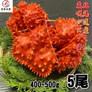 【訳あり】花咲がに　5尾（約400−500ｇサイズ）　ボイル　北海道産　花咲ガニ　花咲きがに　蟹　かに　母の日　父の日　お中元　お歳暮