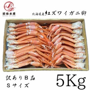 【メガ盛り】北海道産　紅ずわいがに　脚　5ｋｇ　　Ｂ品　Ｓサイズ　ボイル済み　宝樹丸松田船長応援キャンペーン（ ズワイガニ　ずわい