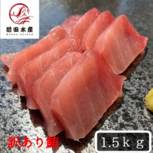 【北海道直送】訳あり　天然　メバチマグロ　1.5kｇ　お試し用サイズ　大きさ不揃い詰め合わせ！　（わけあり　訳アリ　マグロ　まぐろ　