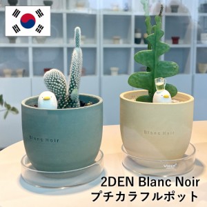 2DEN Blanc Noir プチカラフルポット 7カラー ブランノワール プランター ストーン おしゃれ 多肉植物鉢 観葉植物 植木鉢 鉢 幼苗鉢 鉢 