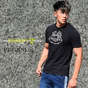 Tシャツ メンズ 半袖 半袖Tシャツ カットソー 筋トレ スポーツ ブランド おしゃれ マッチョ ジムウェア ワークアウト ランニング 格闘技