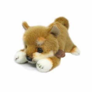 [クーポン利用で10%off]グレイスフル おねだりDOG シバイヌ 茶 24cm [ぬいぐるみ グッズ おもちゃ 雑貨 キッズ ベビー プレゼント   送料