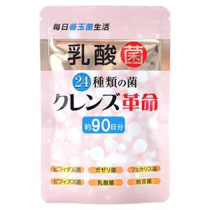 サプリメント 腸活 スッキリ クレンズ革命 菌活 スリム ダイエット サプリ ビフィズス菌 乳酸菌 オリゴ糖 納豆菌 大容量 約3ヶ月分 日本