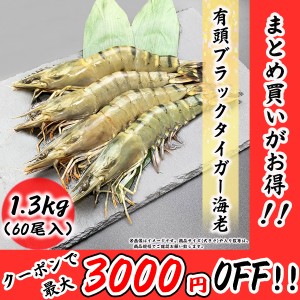 有頭海老 60尾 1.3kg ブラックタイガー BT ブラック 海老 エビ お取り寄せ 食品 冷凍便 プロ愛用