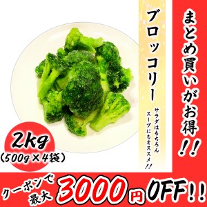 冷凍 ブロッコリー 2kg (500g×4袋) 常備に便利な冷凍野菜 業務用