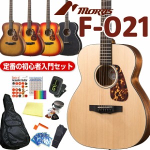 モーリス アコースティックギター MORRIS F-021 アコギ トップ単板 初心者 入門 12点セット 【アコギ初心者】【F-351】