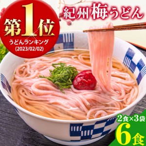 うどん麺 うどんセット 梅うどん 6食入 (2食×3袋) 梅 うどん お取り寄せ 送料無料 時短 7-14営業以内発送予定(土日祝除)　　　　　　　