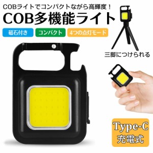 LED 投光器 COB 作業灯 USB充電式 LEDライト キーホルダー式 超ミニ 45g 小型 軽量 高輝度 4種点灯モード IPX4防水 強力磁石付き 緊急照