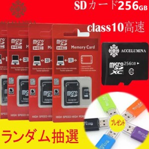 マイクロSDカード 256GB microSDカード 変換アダプタ付き class10 マイクロSDXCカード クラス10 microSDXCカード