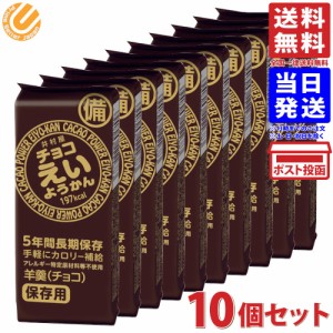 井村屋 チョコえいようかん 55g×10個セット 送料無料 ※箱なし