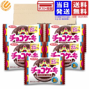 ユーラク チョコケーキ 2枚×5袋 PSJバラエティBOX 有楽製菓 チョコレートケーキ 駄菓子 お菓子 送料無料