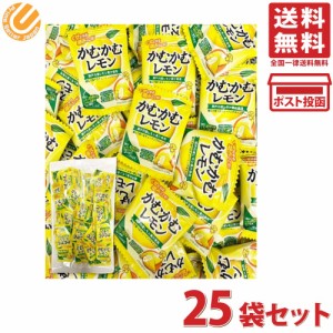 かむかむレモン 4g×25袋 シェアパック 個包装 小袋