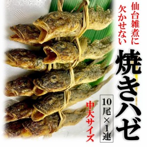 仙台雑煮に欠かせない! 宮城県産 焼きハゼ 大サイズ(約16-17cm)　10尾×1連　焼きはぜ はぜ出汁 お雑煮 ハゼ　