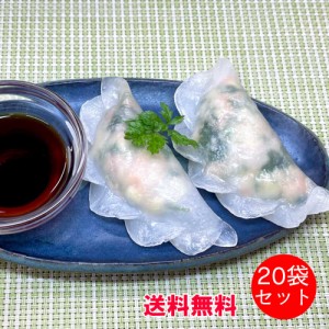 手軽に本格派！ BAMBOO 海老とパクチーの蒸し餃子（25g×20粒）×20袋セット【冷凍品同梱不可】【代引き不可】【送料無料】 点心 冷凍餃