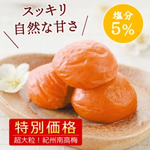 送料無料 はちみつ梅 期間限定 超大粒 スイートはちみつ 500g 塩分5％ 国産 紀州南高梅 特選梅干し A級 4Lサイズ 特別企画