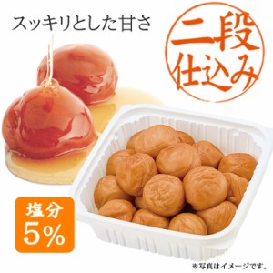 はちみつ梅 特別セール スイートはちみつ 500g 送料無料 塩分5% 期間限定 大粒(3L)サイズ 特選 紀州 南高梅 国産 和歌山産 梅干し はちみ