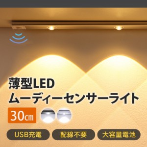 薄型 LED センサーライト ムーディー 【30cm】 充電式 人感センサーライト ledライト ledセンサーライト マグネット 工事不要 屋内 モー