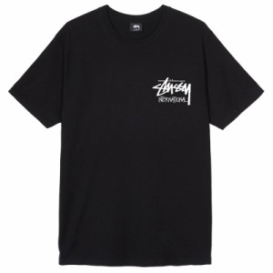 ステューシー STUSSY Tシャツ メンズ レディース 半袖 トップス ストリート stusp001