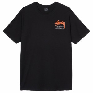 ステューシー STUSSY Tシャツ メンズ レディース 半袖 トップス ストリート stusp002