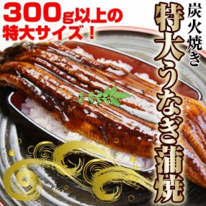 うなぎ蒲焼　３００ｇ（中国産）　