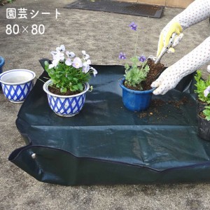 園芸シート No.50 80×80 GREENGARDEN グリーンガーデン 小林金物 ガーデニング 畑 農作業 菜園 園芸 フラワーアレンジメント 国産 小KD