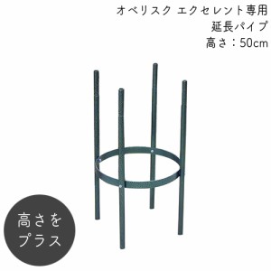 バラ用 オベリスク  アイアン エクセレント用延長パイプ 50L No.222 日本製  GREENGARDEN グリーンガーデン 小林金物 ガーデニング 支柱 