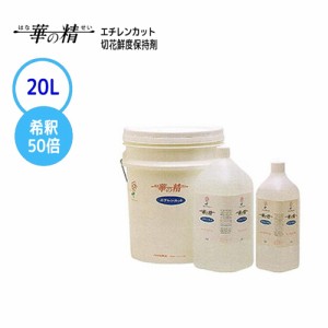 パレス化学 切花鮮度保持剤 華の精 エチレンカット 20L 花枝 ガーデニング 園芸 華道 家庭菜園 花長持ち 延命剤 活性剤 栄養 植物 業務用