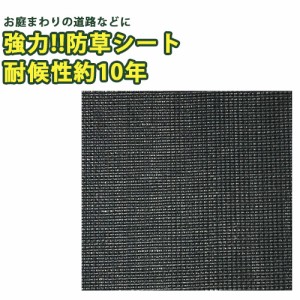 強力 防草クロスシート PRO 幅0.5m×長さ10m 黒 防草 雑草 対策 防止 庭 花壇 草除け ガーデニング 家庭菜園 園芸 金TD