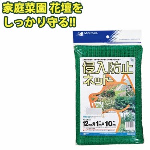 小動物 侵入防止ネット 幅1m×長さ10m グリーン 12mm角目 上下Sフック付 ロープ付 防獣ネット ドッグラン 防獣網 猫除け 庭 ガーデニング