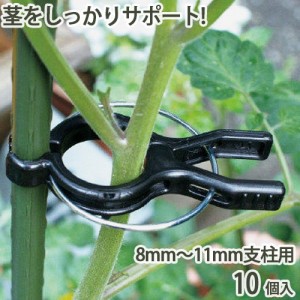 くき止めクリップ 8mm〜11mm支柱用 10個入 支柱 茎 固定 家庭菜園 便利 園芸 農業 農作業 誘引 野菜 トマト キュウリ 幼苗 ガーデニング 