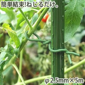 やわらかバンド φ2.5mm×5m 家庭菜園 園芸 ガーデニング 農業 農作業 枝 つる バラ 誘引 結束 支柱 野菜 簡単 かんたん 金TD