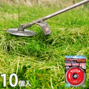 【お得な10個入】 ジズライザーワイド120  ZAT-H30A120 農業 農作業 除草 チップソー 安定板 草刈 刈払 雑草 刈払機 園芸 カッター 砂利 