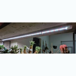 植物専用LEDライト PlantsNEXLIGHT TUBE 白色光 2本入 NL-T8-28-RW12/W 観葉植物 園芸 室内 屋内 ランプ おしゃれ 日光 日照  農園 農業 