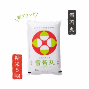 令和4年産 山形県産 米 雪若丸 5kg 精米  白米 お米 産直 産地直送 お土産 観光地応援 ギフト プレゼント コクブン直送