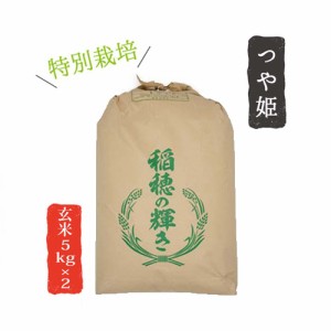 山形県産 米 つや姫 5kg×2 玄米 お米 産直 産地直送 お土産 観光地応援 ギフト プレゼント コクブン直送